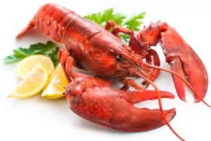 chitosan fruits de mer