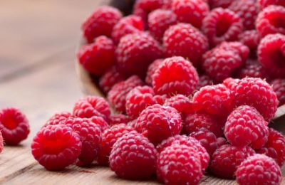 Cétone de framboise pure force Max 600mg